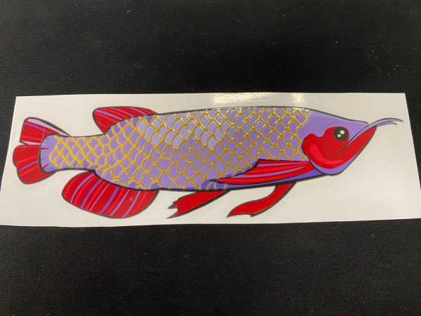 UV DTF Принтер GOLD F60, ширина 60см, Epson i1600*4