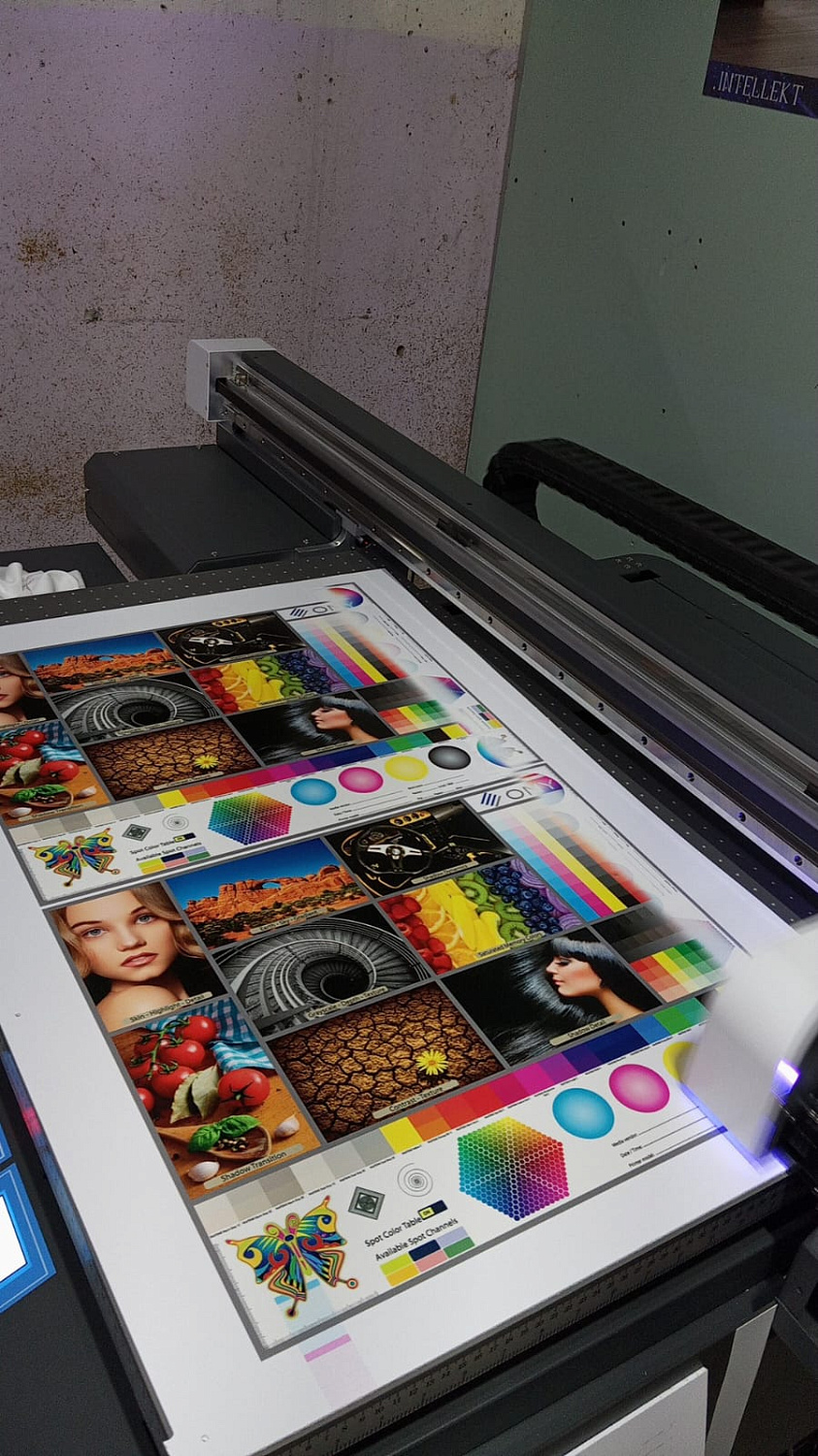 Запуск УФ принтера Audley 9060 (F1080*3) в Дзержинске