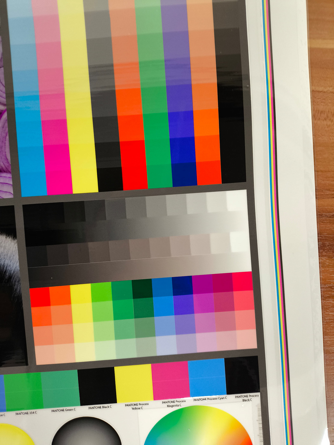 Запуск UV DTF принтера AUDLEY STORM в Санкт-Петербурге