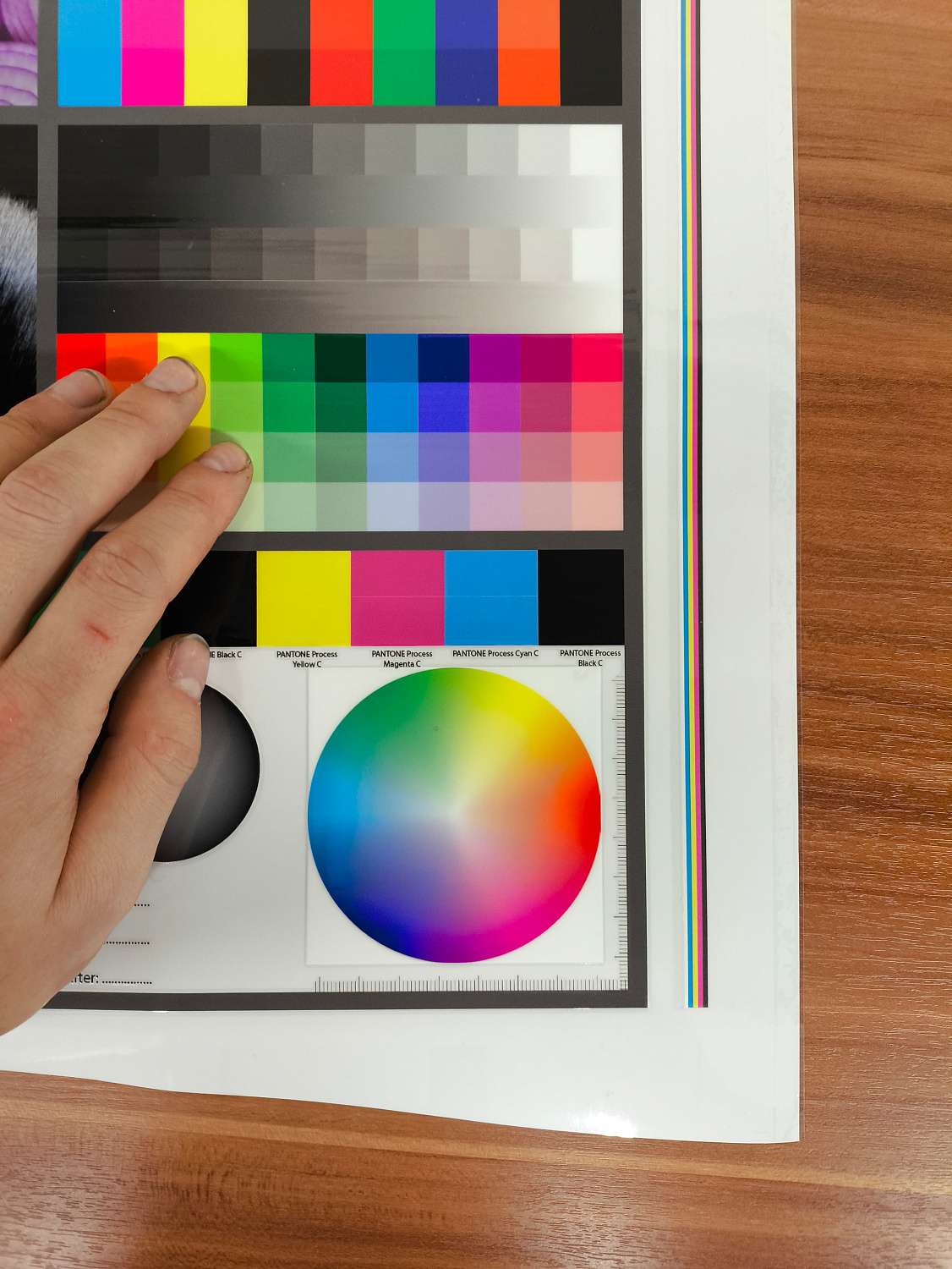 Запуск UV DTF принтера AUDLEY STORM в Санкт-Петербурге