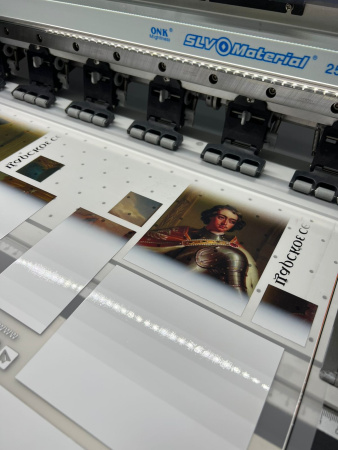 Принтер для DTF печати AUDLEY(DTFSTAR) ZX6003 в комплектации ZX6002, CHAMELEON (комплект с шейкер-сушкой)