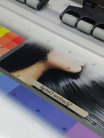 UV DTF-принтер Audley Unicum (ширина 30 см, 3 × Epson F1080)