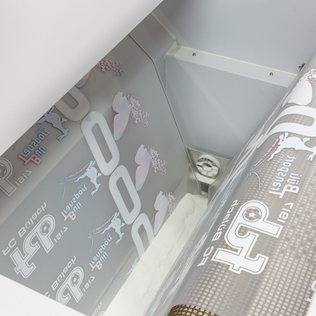 DTF Принтер AUDLEY XP32 MIDI II (c шейкер-сушкой)