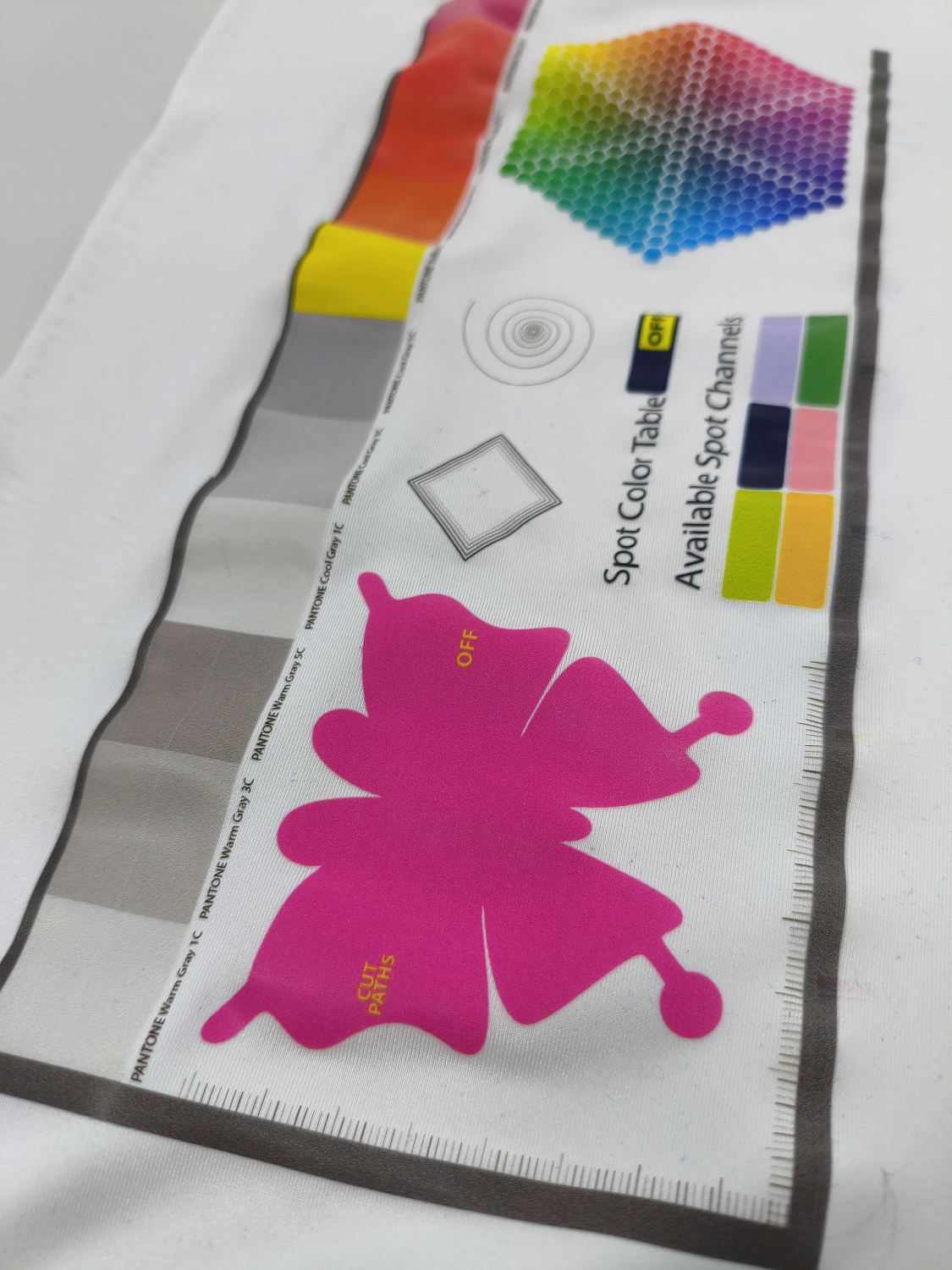 Запуск DTF комплекса AUDLEY ZX6002 в Леногорске