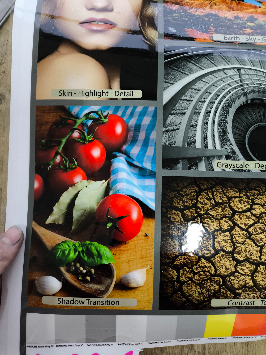 Запуск принтера для UV DTF печати AUDLEY STORM в Калининграде